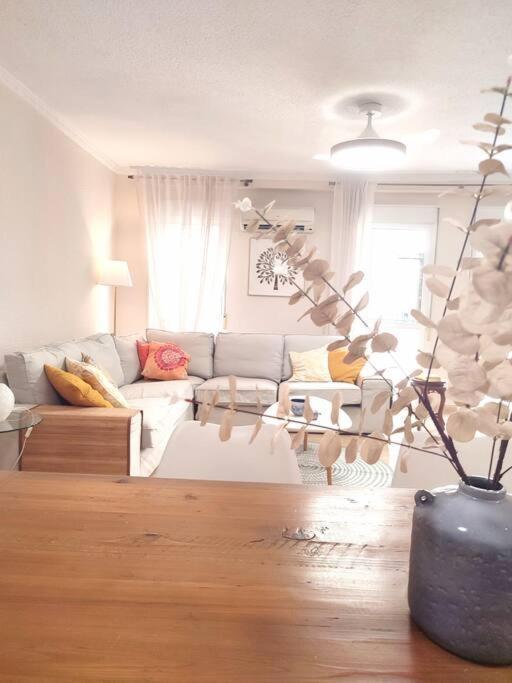 אליקאנטה Charming & Spacious Apartment In Historic Centre & Short Walk To Beach מראה חיצוני תמונה