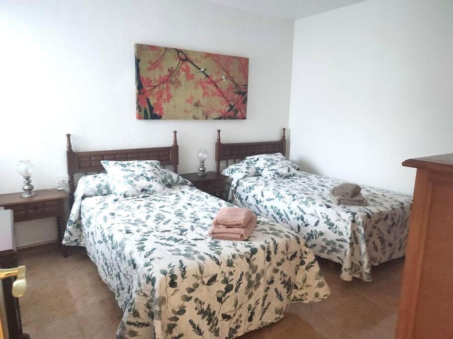 אליקאנטה Charming & Spacious Apartment In Historic Centre & Short Walk To Beach מראה חיצוני תמונה